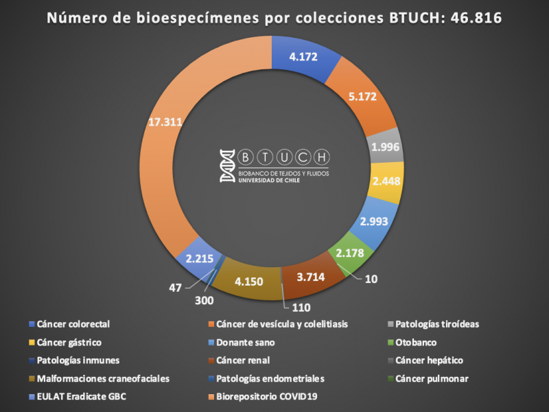 Numero de Bioespecimenes por coleccion BTUCH