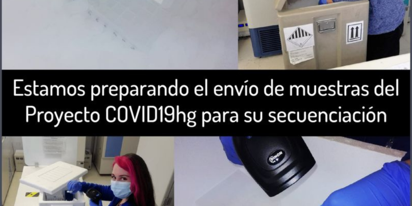 Envío de muestras del Proyecto COVID19hg desde el centro de reclutamiento de la Universidad de Magallanes.